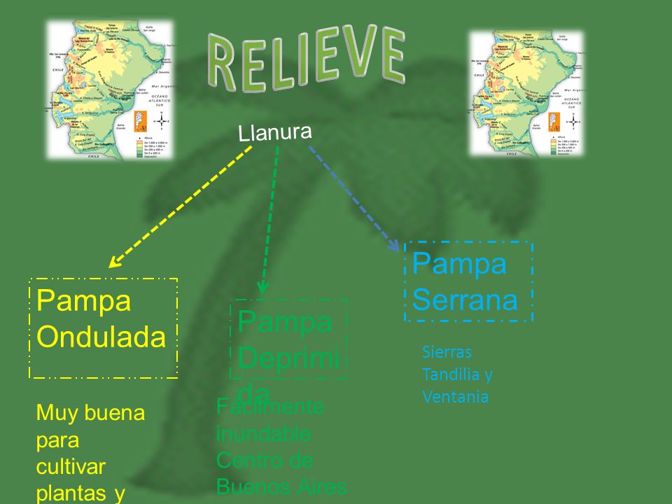 RELIEVE Pampa Serrana Pampa Ondulada Pampa Deprimida Llanura