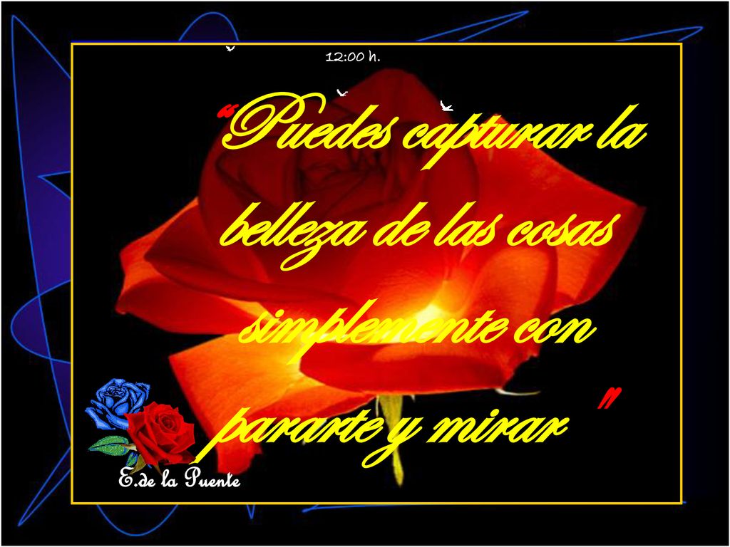 12:00 h. Puedes capturar la belleza de las cosas simplemente con pararte y mirar E.de la Puente
