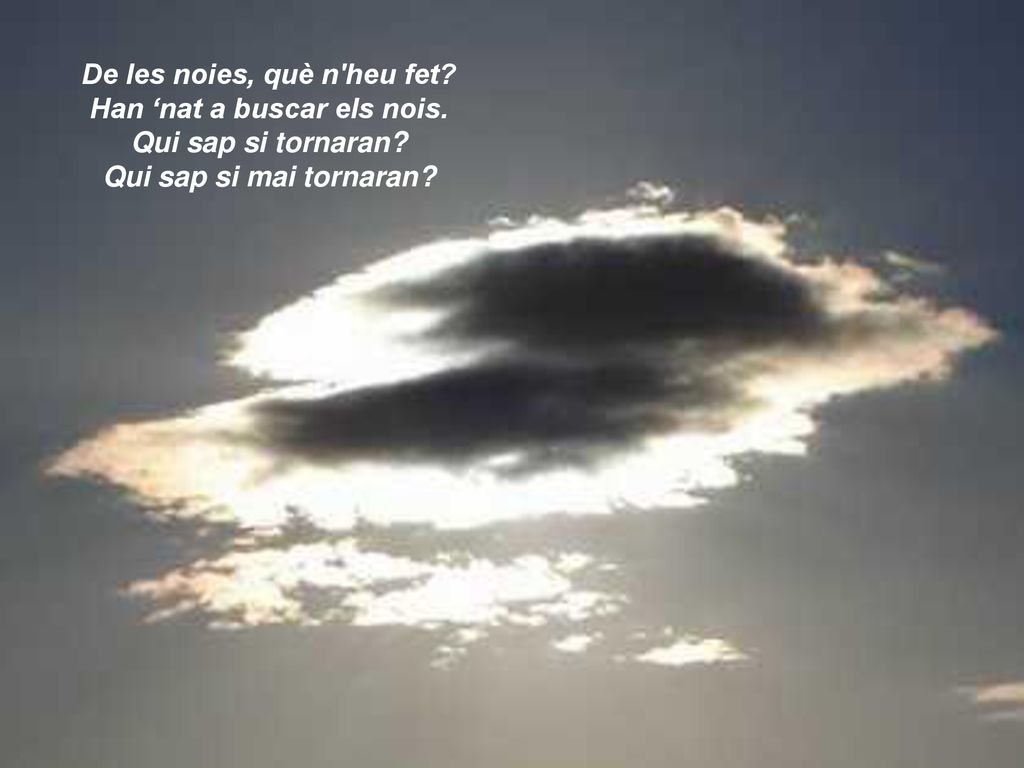 De les noies, què n heu fet. Han ‘nat a buscar els nois