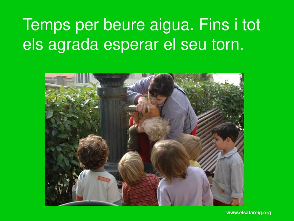 Temps per beure aigua. Fins i tot els agrada esperar el seu torn.