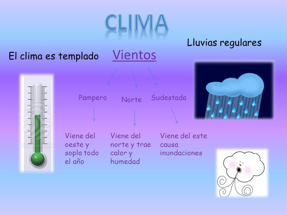 Clima Vientos Lluvias regulares El clima es templado Pampero Sudestada