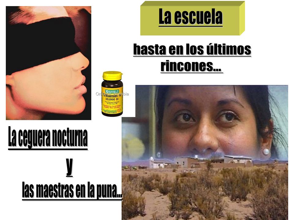 La escuela hasta en los últimos rincones... y La ceguera nocturna