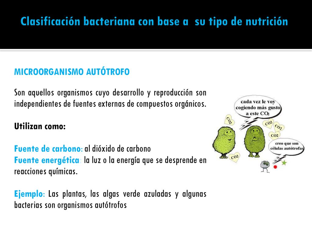 Clasificación bacteriana con base a su tipo de nutrición