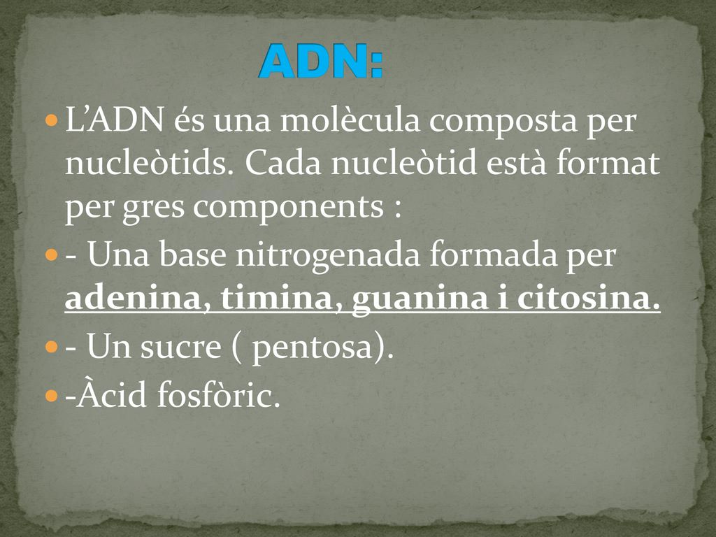 ADN: L’ADN és una molècula composta per nucleòtids. Cada nucleòtid està format per gres components :