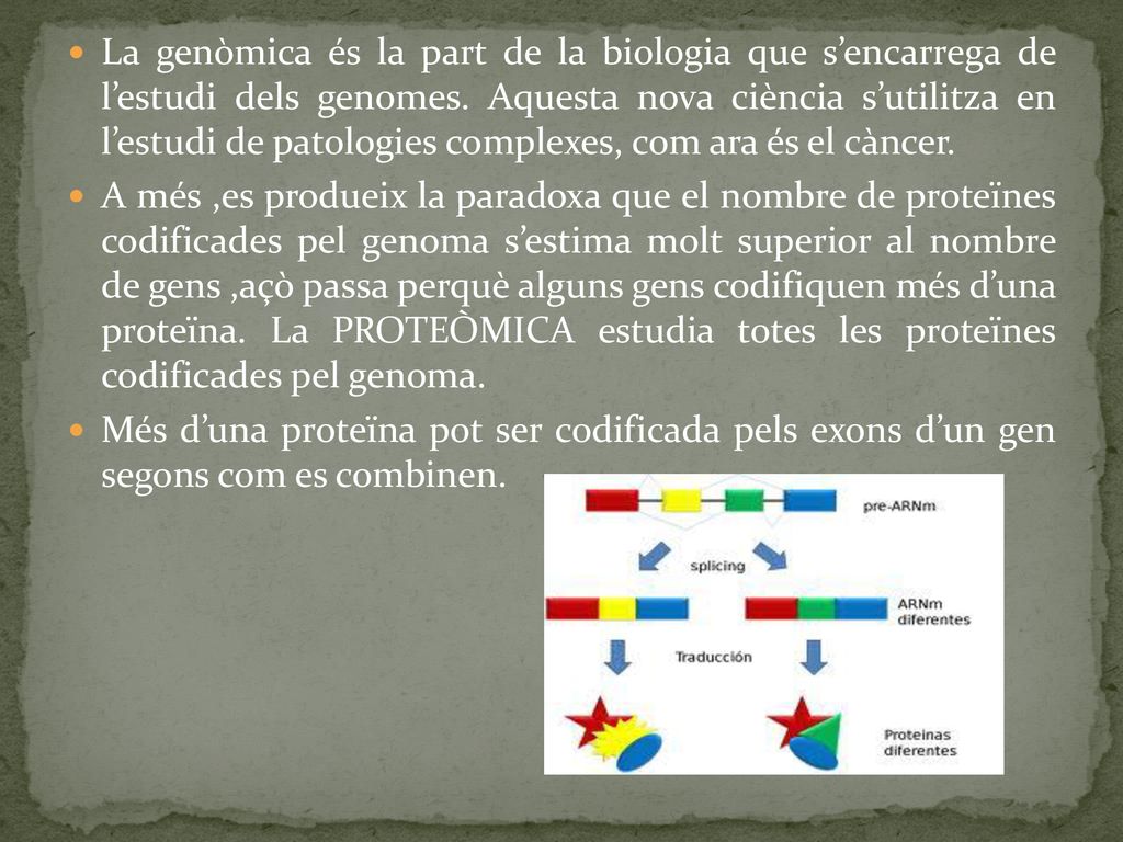La genòmica és la part de la biologia que s’encarrega de l’estudi dels genomes. Aquesta nova ciència s’utilitza en l’estudi de patologies complexes, com ara és el càncer.