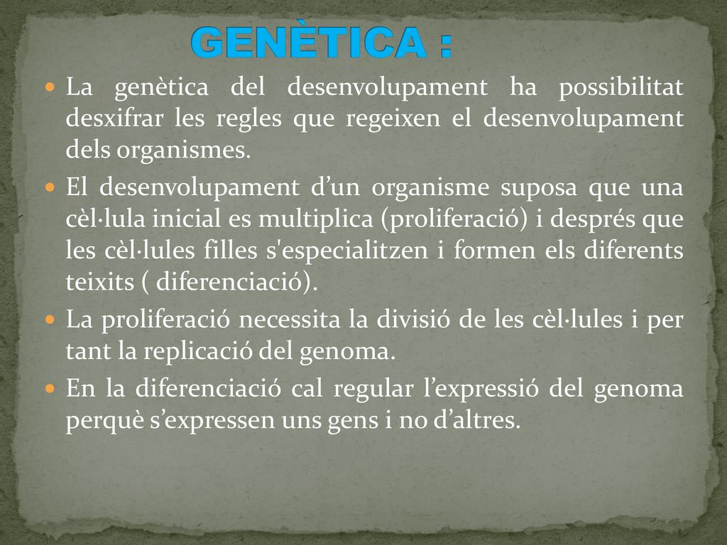 GENÈTICA : La genètica del desenvolupament ha possibilitat desxifrar les regles que regeixen el desenvolupament dels organismes.
