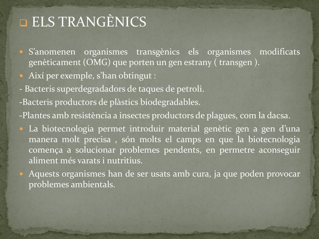 ELS TRANGÈNICS S’anomenen organismes transgènics els organismes modificats genèticament (OMG) que porten un gen estrany ( transgen ).