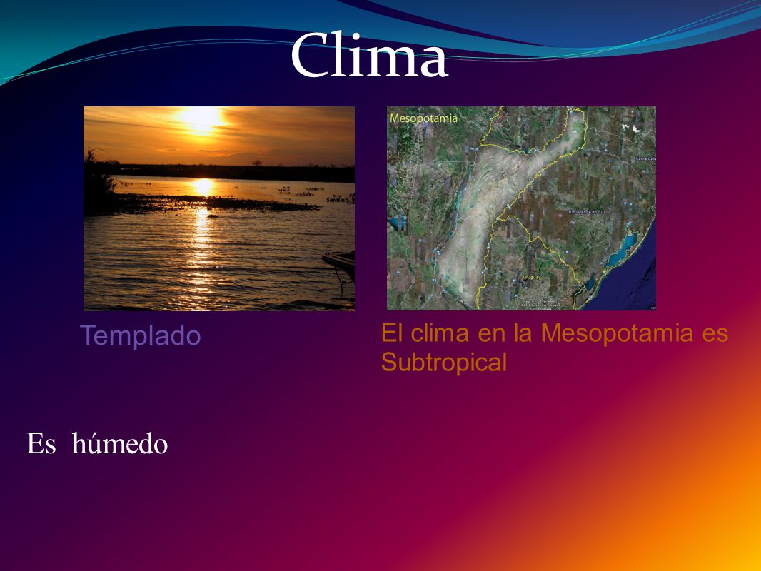 Clima Templado El clima en la Mesopotamia es Subtropical Es húmedo