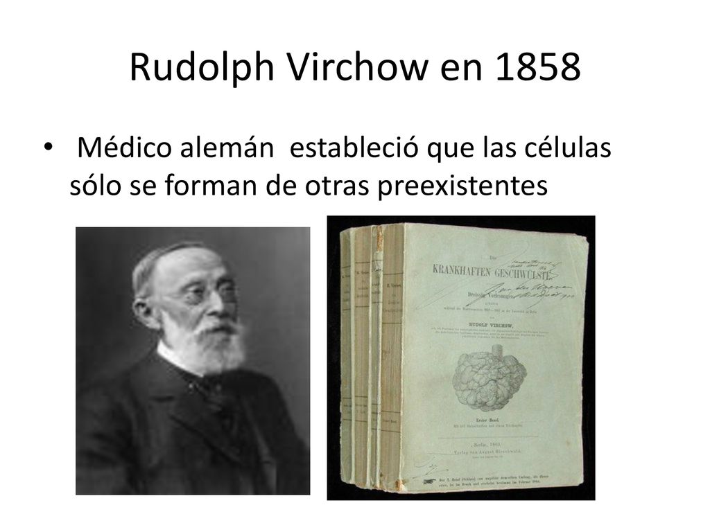 Rudolph Virchow en 1858 Médico alemán estableció que las células sólo se forman de otras preexistentes.