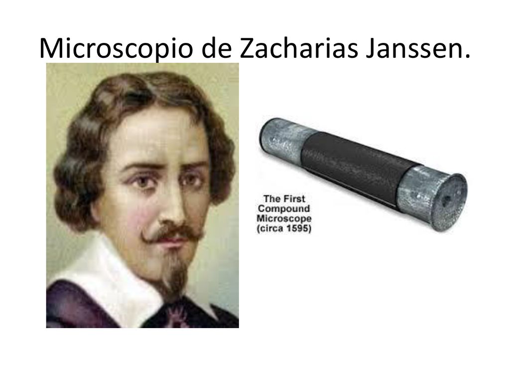 Historia de la célula Para llegar a conocer los seres vivos el holandés  Zacharias Janssen construyó el primer Microscopio en ppt descargar