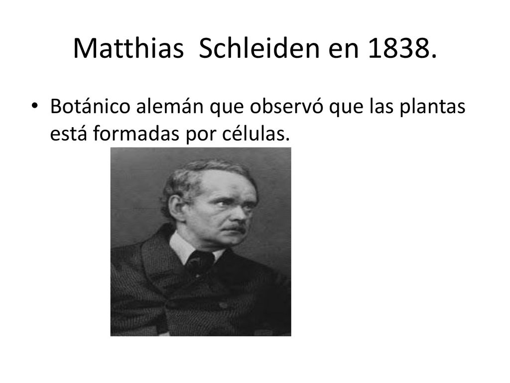 Matthias Schleiden en Botánico alemán que observó que las plantas está formadas por células.