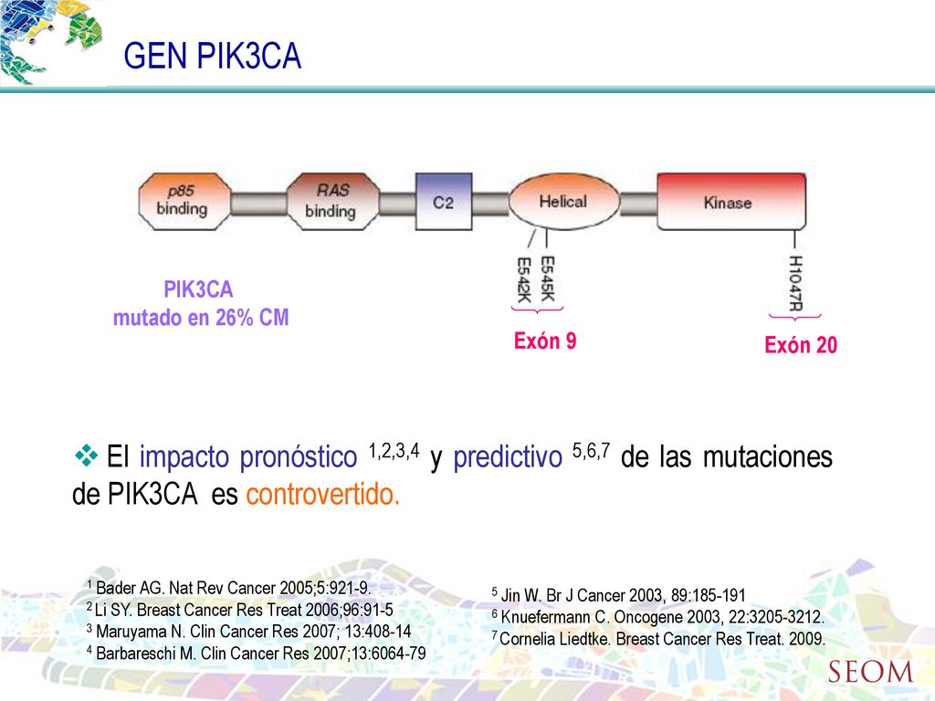 GEN PIK3CA PIK3CA. mutado en 26% CM. Exón 9. Exón 20.
