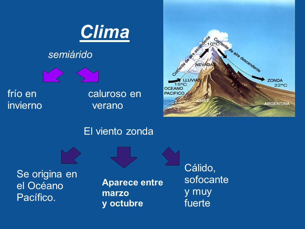 Clima semiárido frío en caluroso en invierno verano El viento zonda