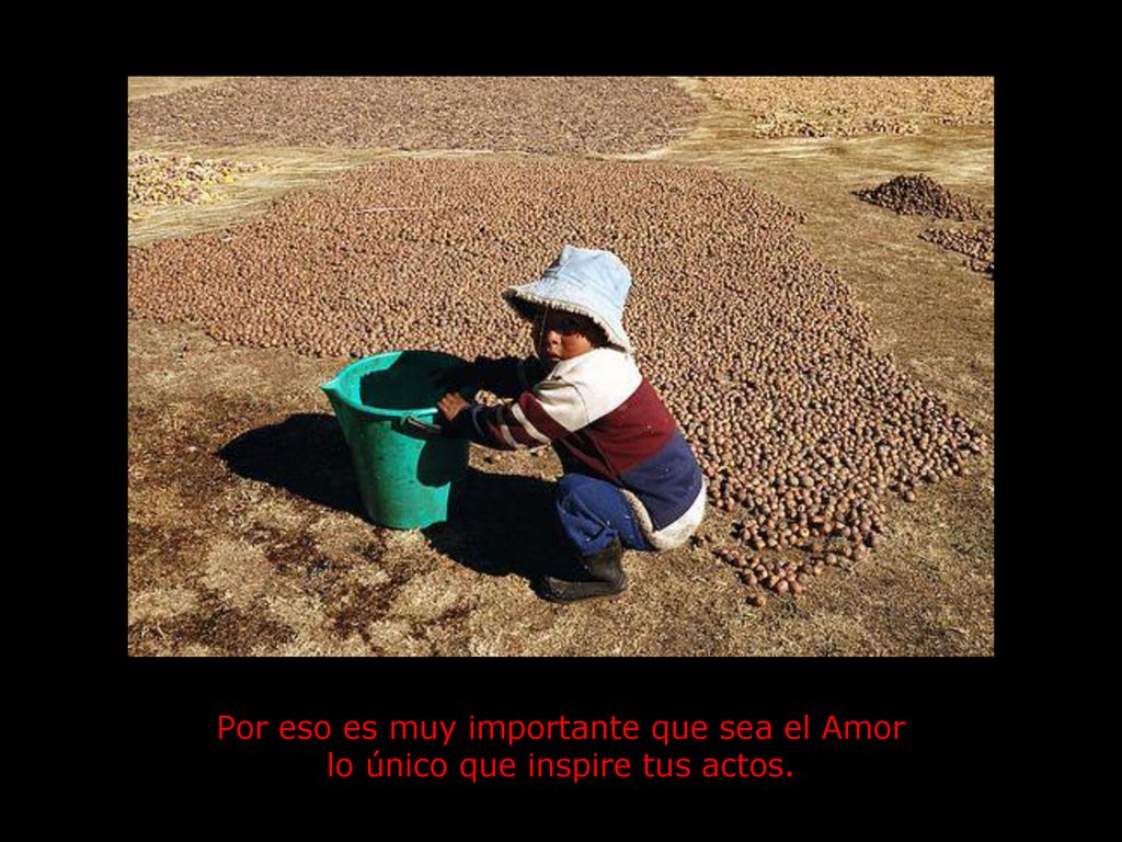 Por eso es muy importante que sea el Amor lo único que inspire tus actos.