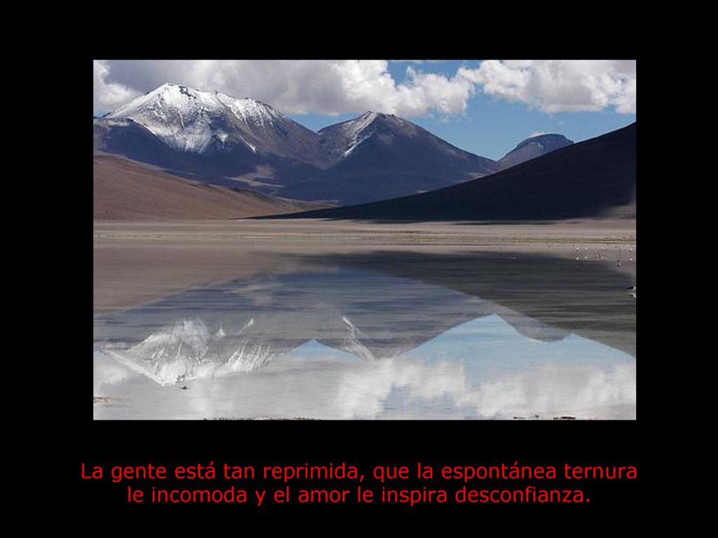 La gente está tan reprimida, que la espontánea ternura le incomoda y el amor le inspira desconfianza.
