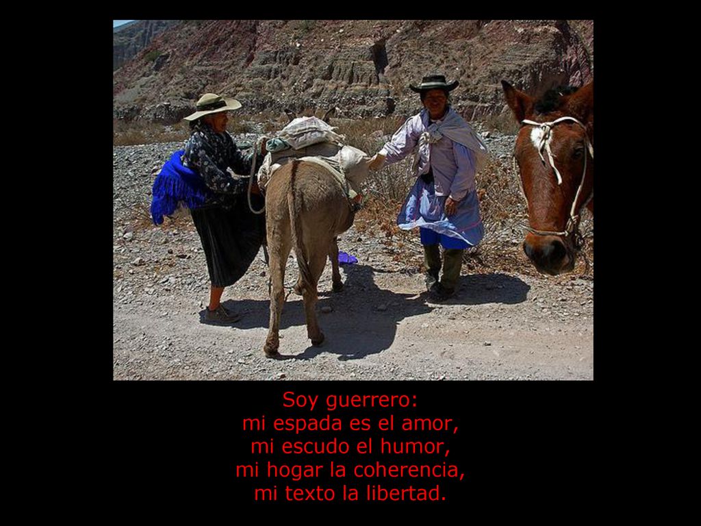 Soy guerrero: mi espada es el amor, mi escudo el humor, mi hogar la coherencia, mi texto la libertad.