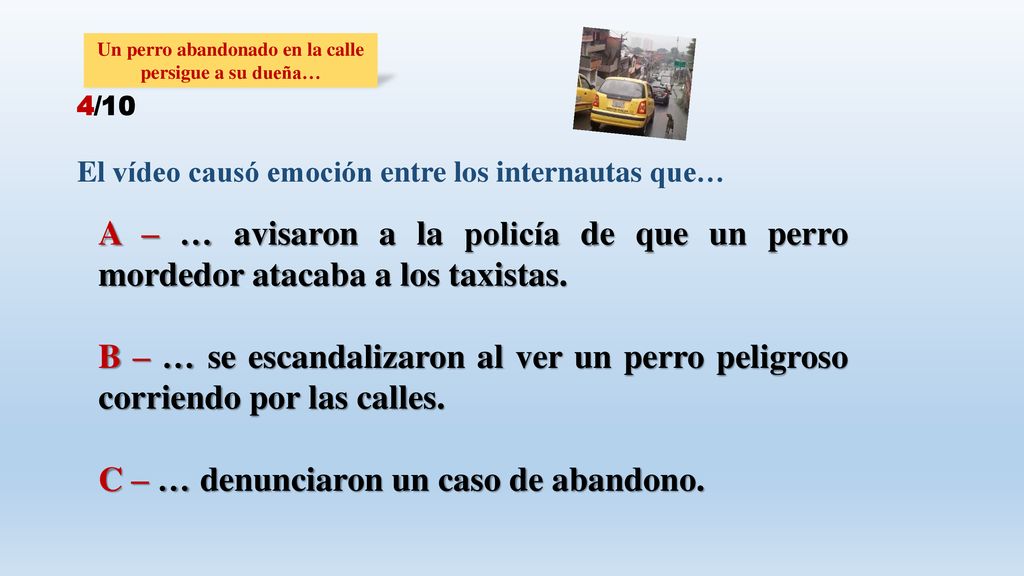 Un perro abandonado en la calle persigue a su dueña…