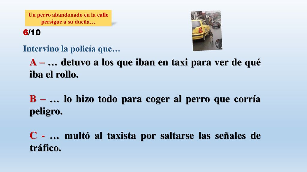 Un perro abandonado en la calle persigue a su dueña…