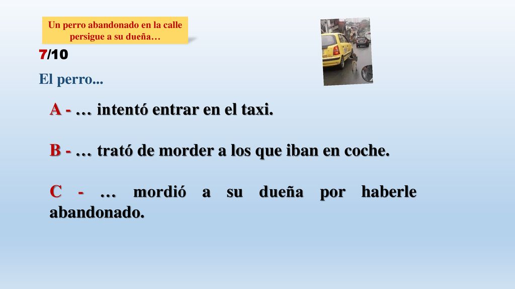 Un perro abandonado en la calle persigue a su dueña…