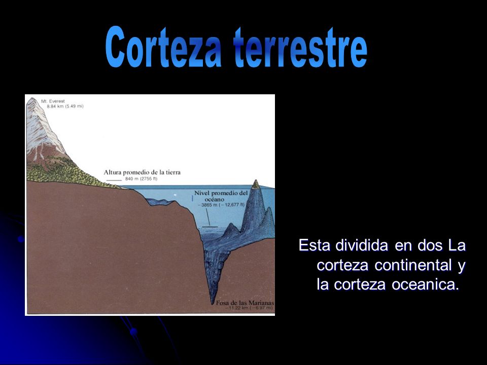 Corteza terrestre Esta dividida en dos La corteza continental y la corteza oceanica.