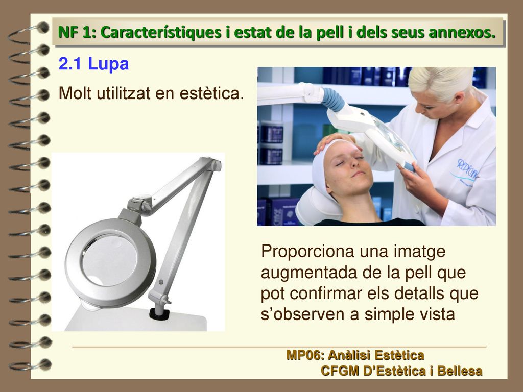 NF 1: Característiques i estat de la pell i dels seus annexos.