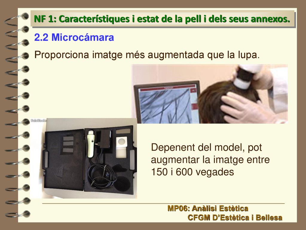 NF 1: Característiques i estat de la pell i dels seus annexos.
