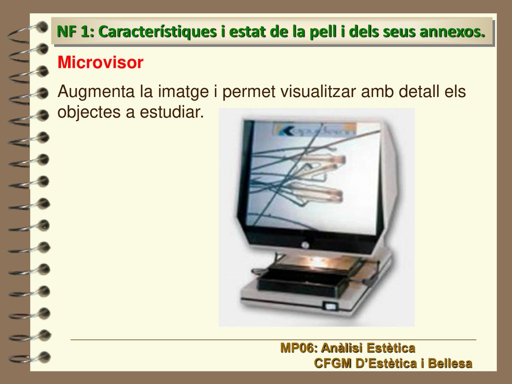 NF 1: Característiques i estat de la pell i dels seus annexos.