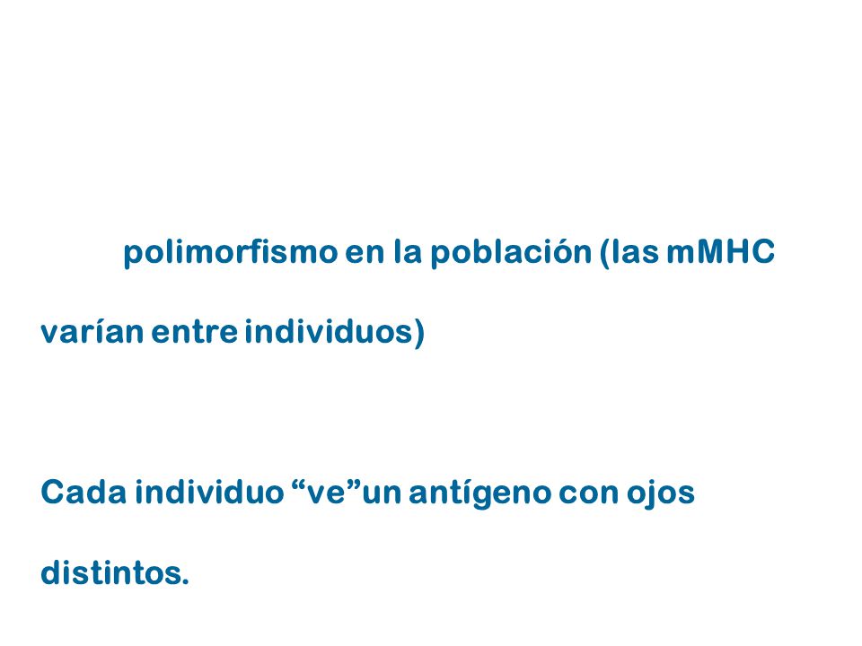 gran polimorfismo en la población (las mMHC varían entre individuos)