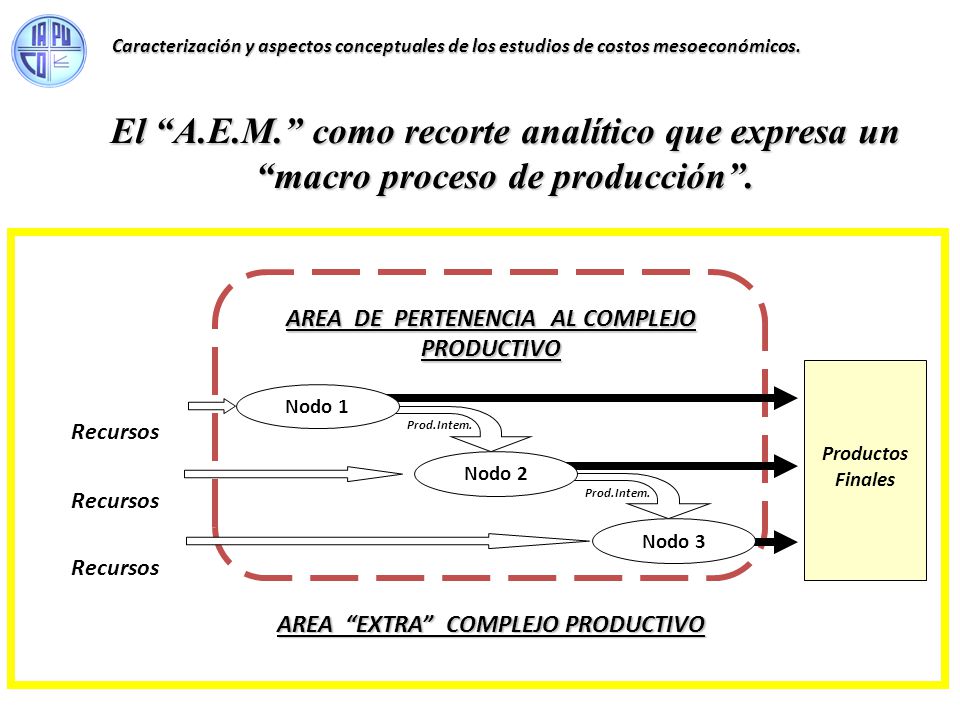 Caracterización y aspectos conceptuales de los estudios de costos mesoeconómicos.