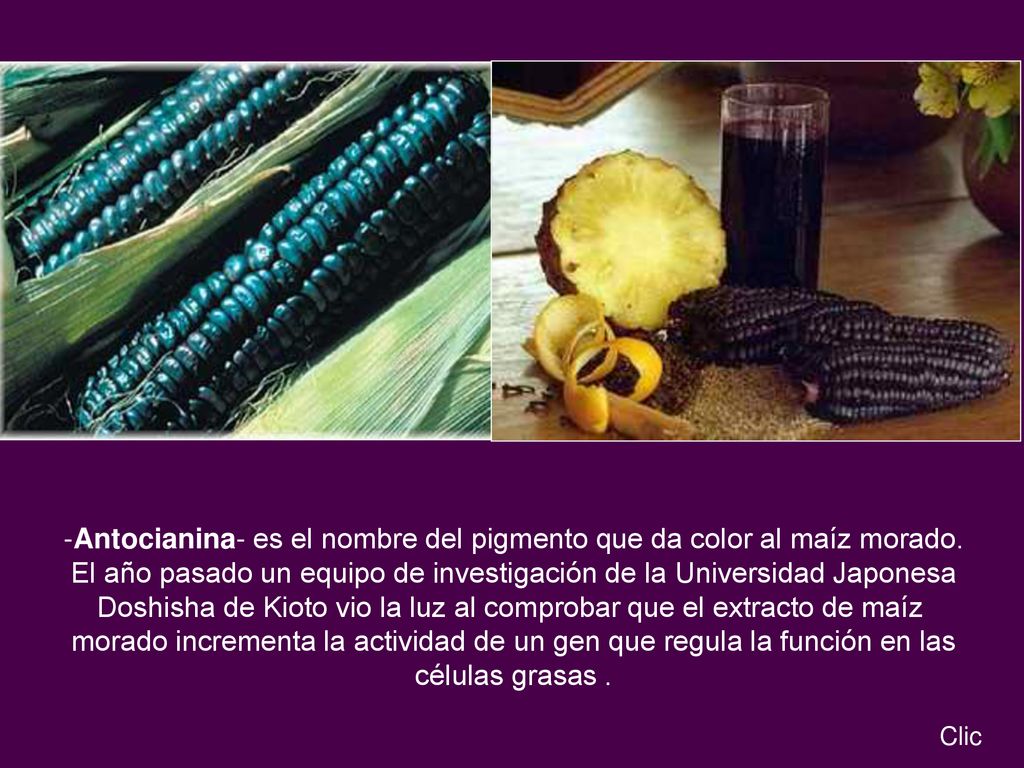 -Antocianina- es el nombre del pigmento que da color al maíz morado.