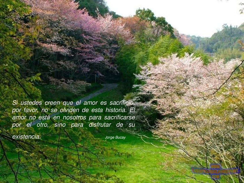 Si ustedes creen que el amor es sacrificio, por favor, no se olviden de esta historia.