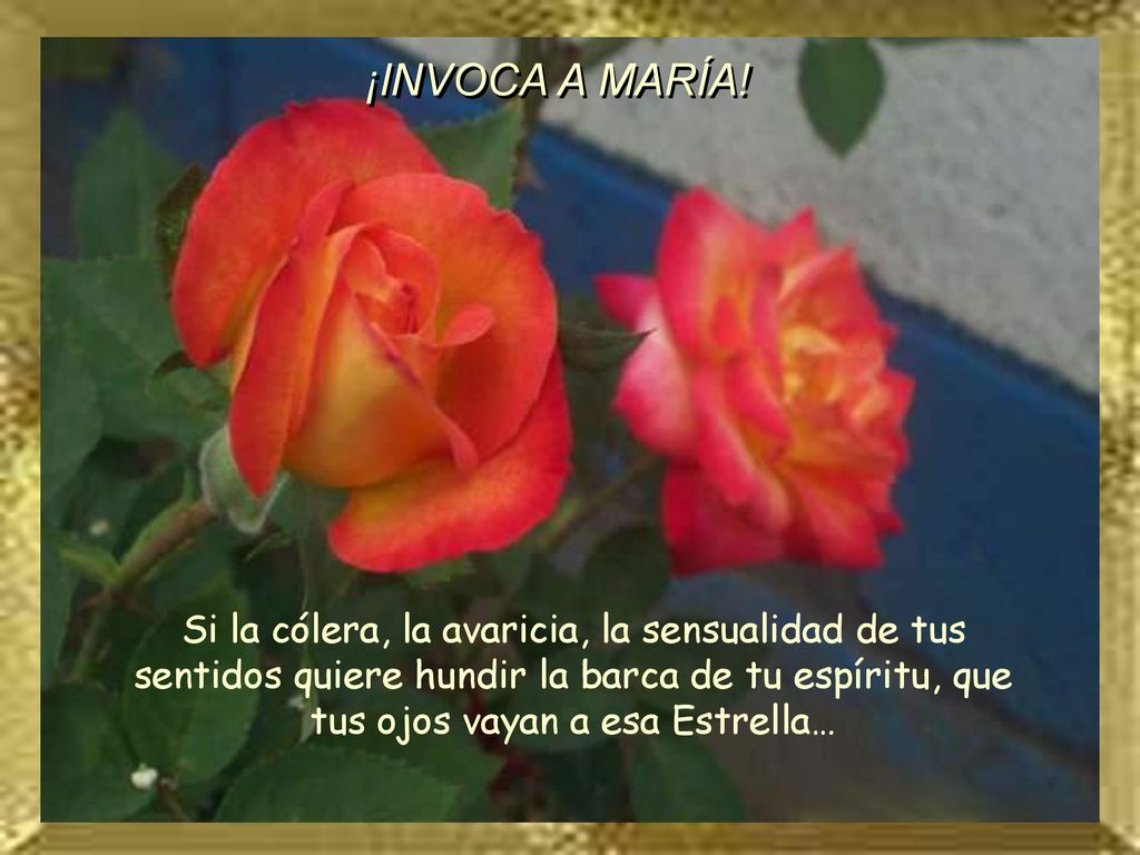 ¡INVOCA A MARÍA! Si la cólera, la avaricia, la sensualidad de tus sentidos quiere hundir la barca de tu espíritu, que tus ojos vayan a esa Estrella…