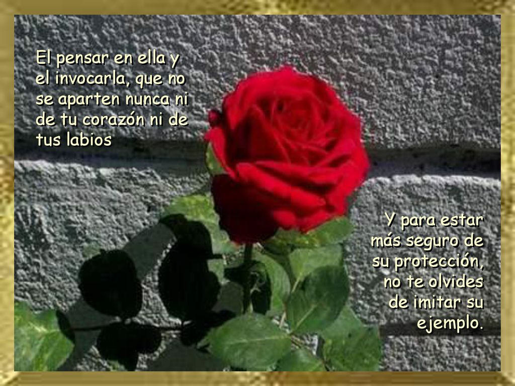 El pensar en ella y el invocarla, que no se aparten nunca ni de tu corazón ni de tus labios