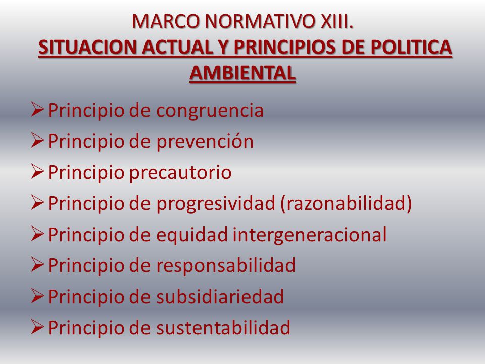 MARCO NORMATIVO XIII. SITUACION ACTUAL Y PRINCIPIOS DE POLITICA AMBIENTAL