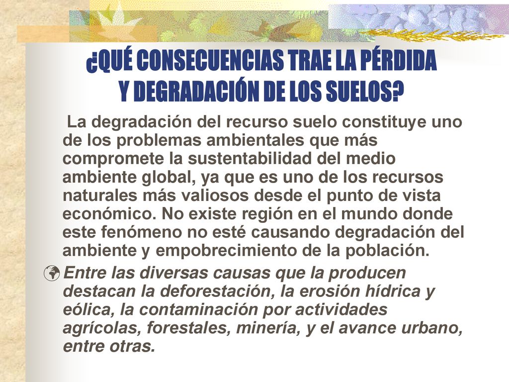 ¿QUÉ CONSECUENCIAS TRAE LA PÉRDIDA Y DEGRADACIÓN DE LOS SUELOS