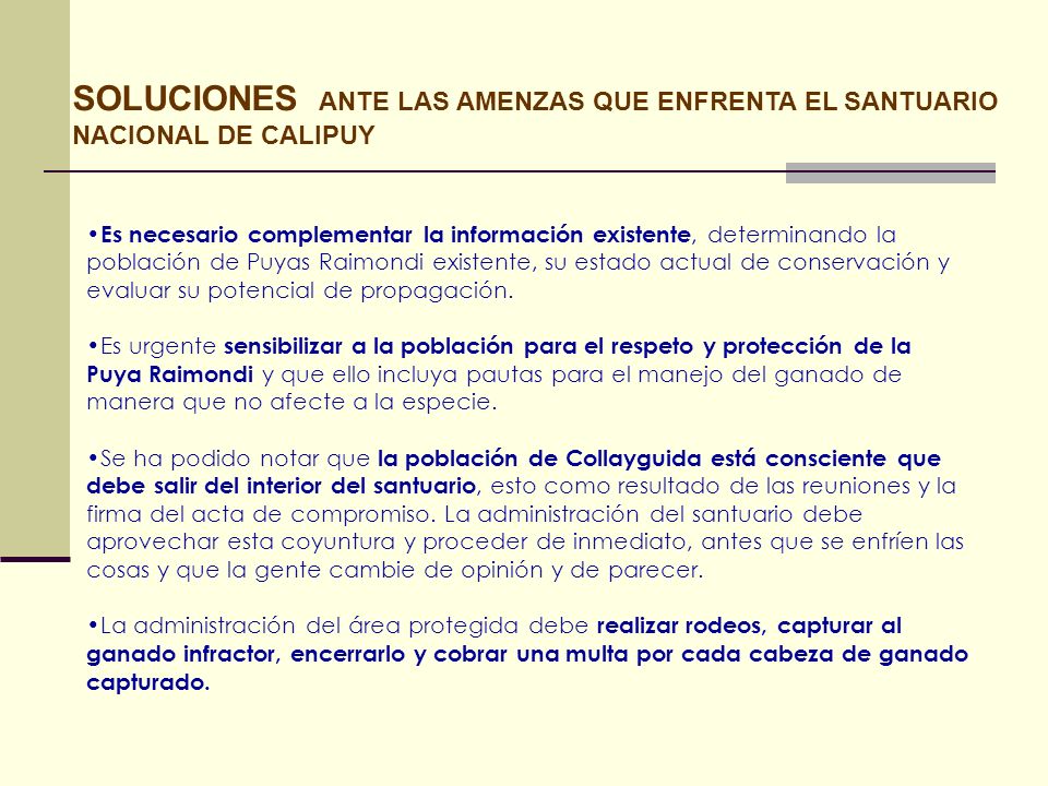 SOLUCIONES ANTE LAS AMENZAS QUE ENFRENTA EL SANTUARIO NACIONAL DE CALIPUY