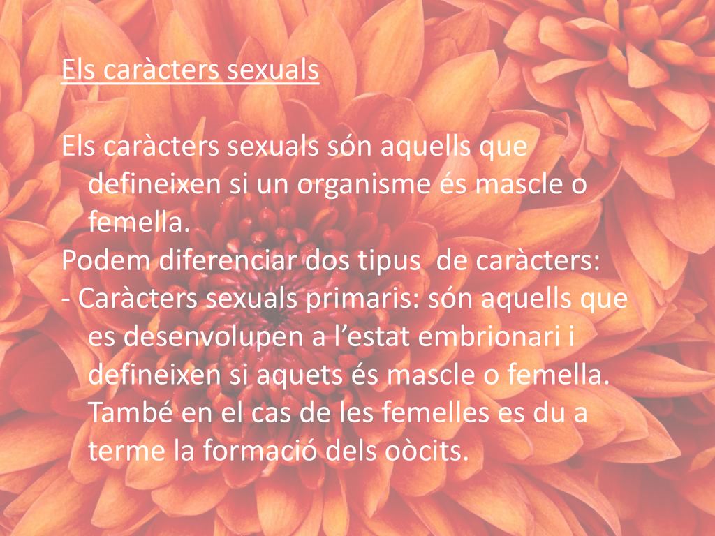 Els caràcters sexuals Els caràcters sexuals són aquells que defineixen si un organisme és mascle o femella.