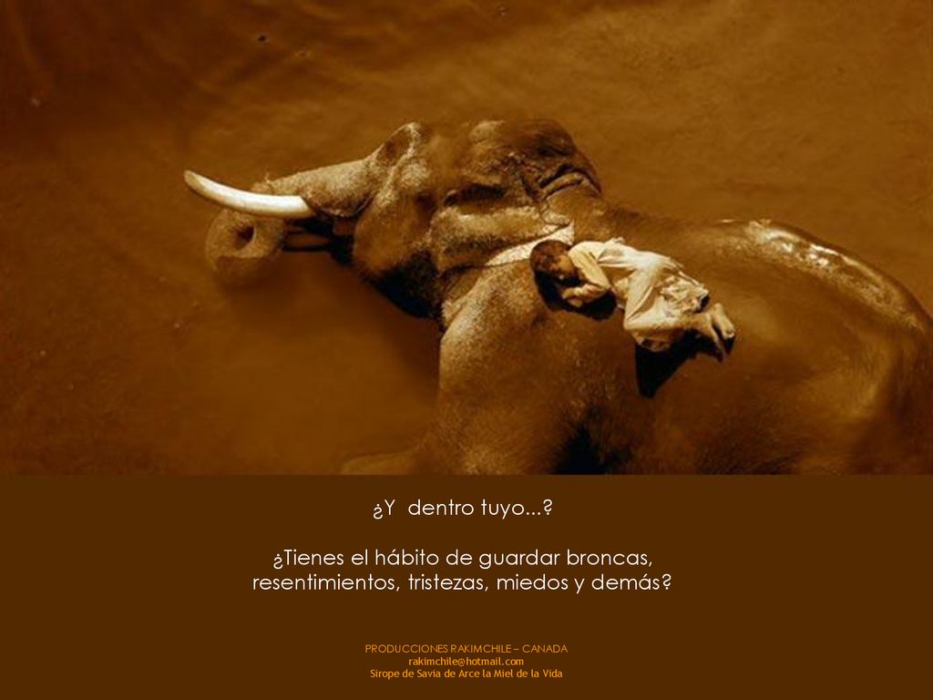 ¿Y dentro tuyo... ¿Tienes el hábito de guardar broncas, resentimientos, tristezas, miedos y demás