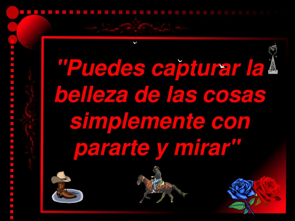 Puedes capturar la belleza de las cosas simplemente con pararte y mirar
