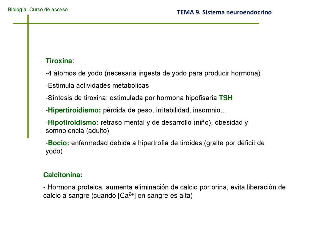Tiroxina: 4 átomos de yodo (necesaria ingesta de yodo para producir hormona) Estimula actividades metabólicas.
