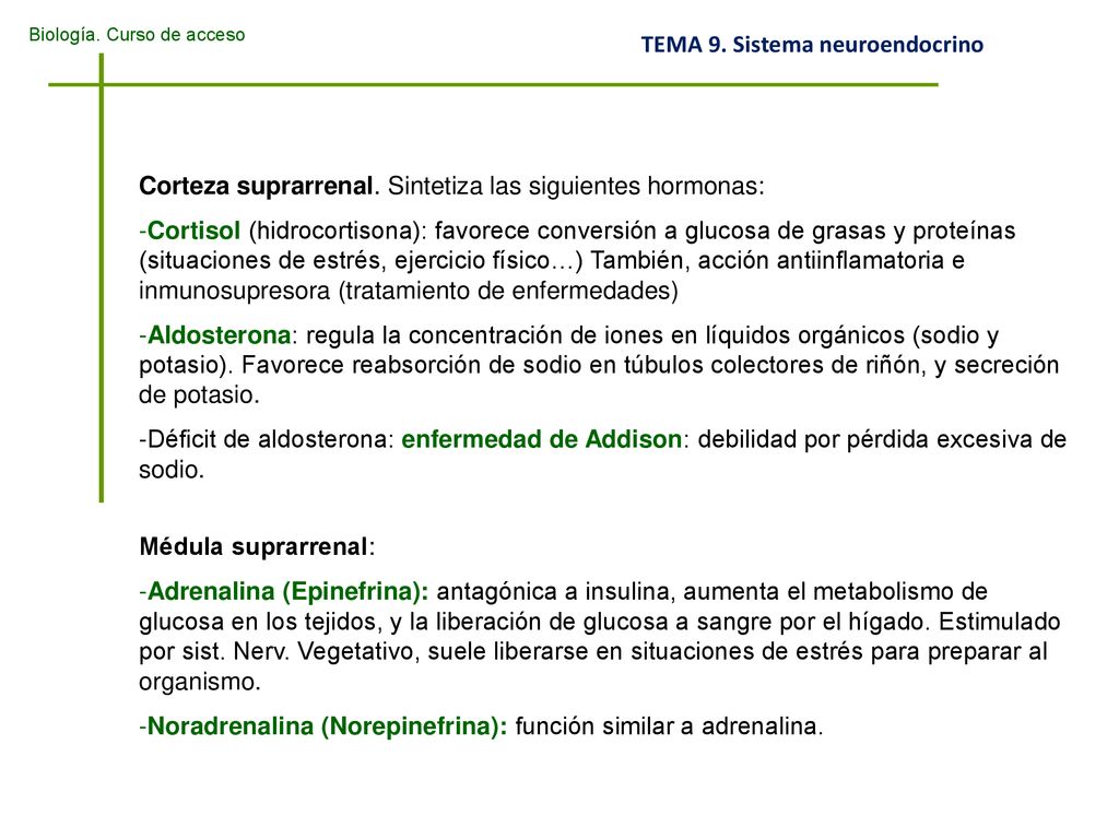 Corteza suprarrenal. Sintetiza las siguientes hormonas: