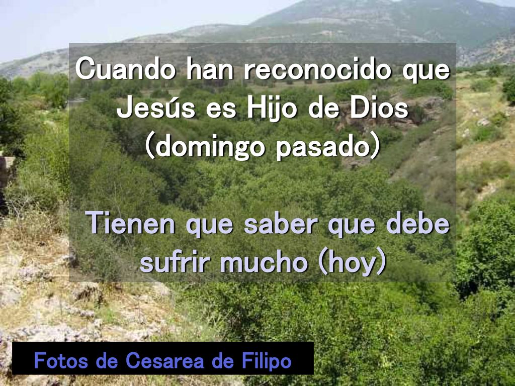 Cuando han reconocido que Jesús es Hijo de Dios (domingo pasado)
