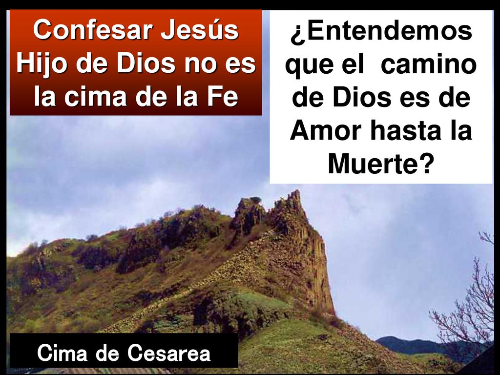 Confesar Jesús Hijo de Dios no es la cima de la Fe
