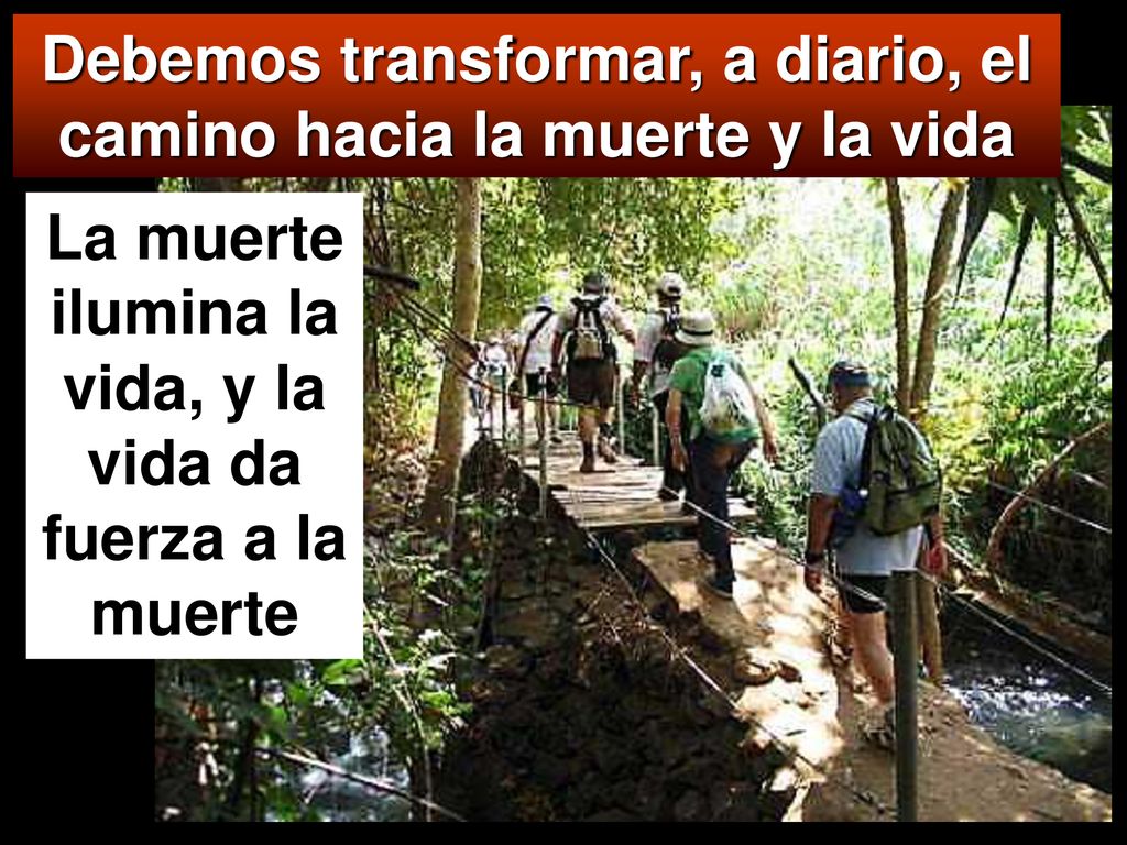 Debemos transformar, a diario, el camino hacia la muerte y la vida