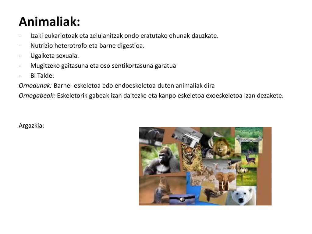 Animaliak: Izaki eukariotoak eta zelulanitzak ondo eratutako ehunak dauzkate. Nutrizio heterotrofo eta barne digestioa.