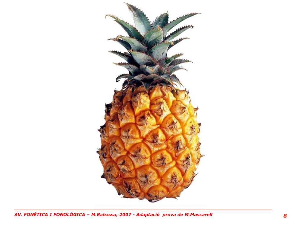 AV. FONÈTICA I FONOLÒGICA – M. Rabassa, Adaptació prova de M
