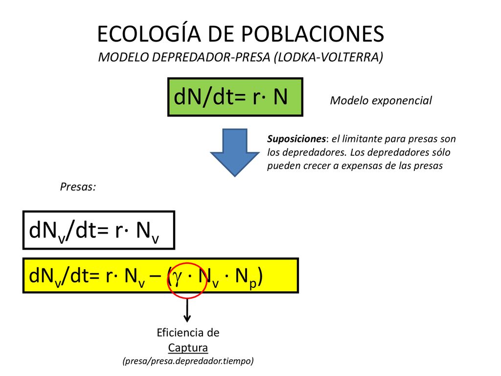 ECOLOGÍA DE POBLACIONES Y COMUNIDADES - ppt descargar