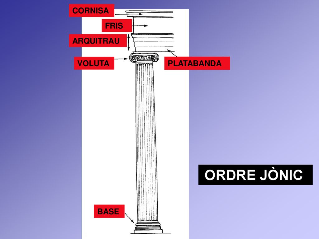CORNISA FRIS ARQUITRAU VOLUTA PLATABANDA ORDRE JÒNIC BASE