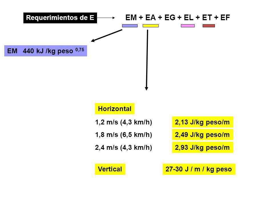 EM + EA + EG + EL + ET + EF Requerimientos de E EM