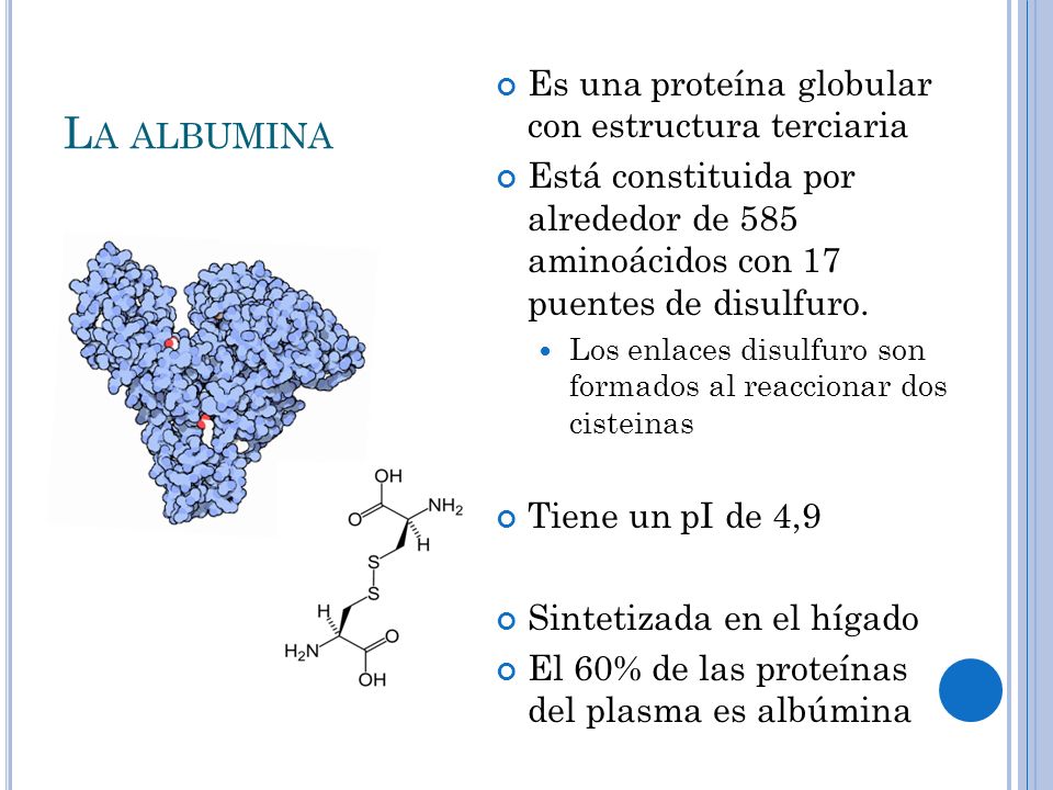 La albumina Es una proteína globular con estructura terciaria